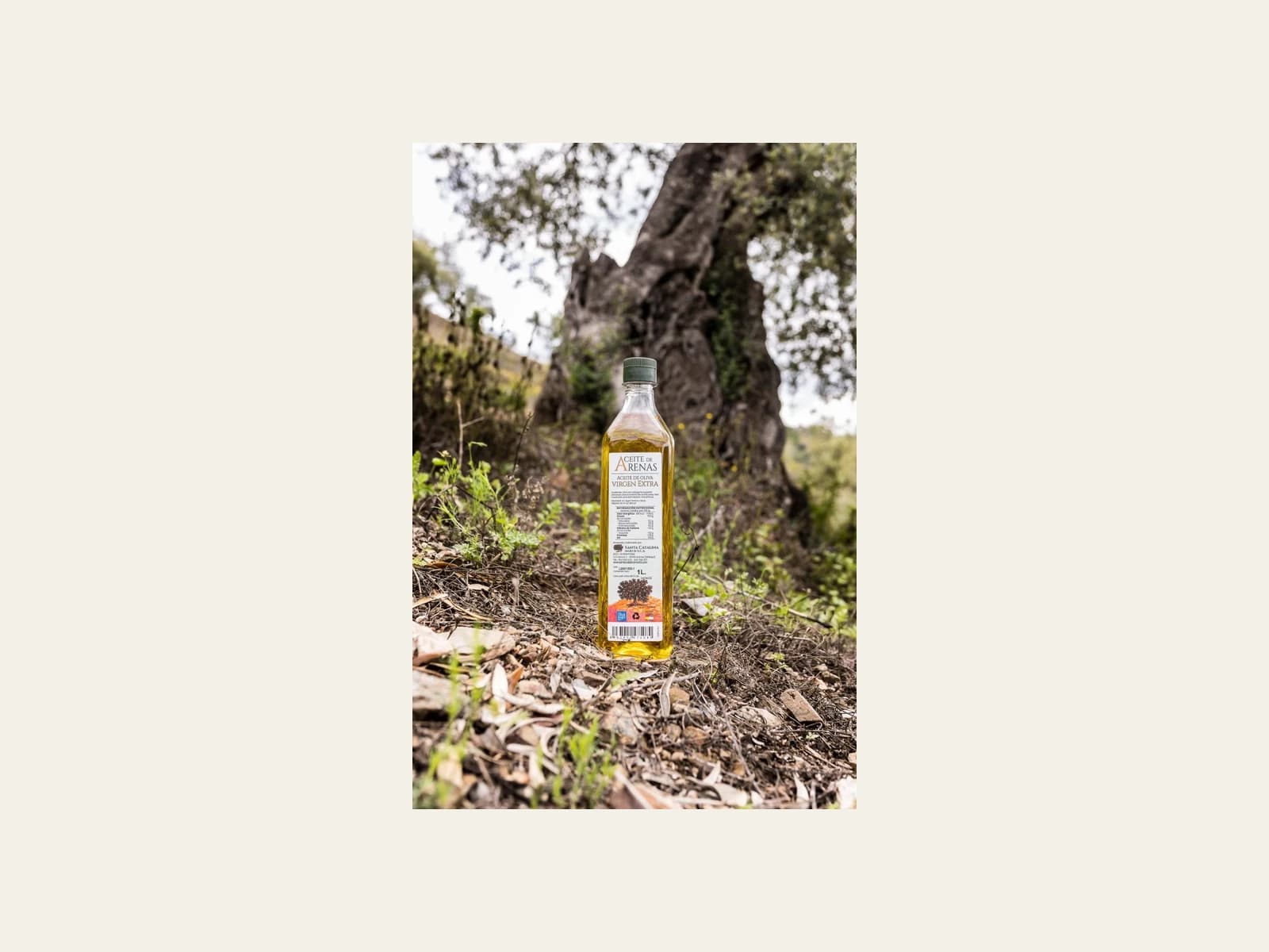 Image of Aceite de Arenas - Agrícola Santa Catalina Mártir