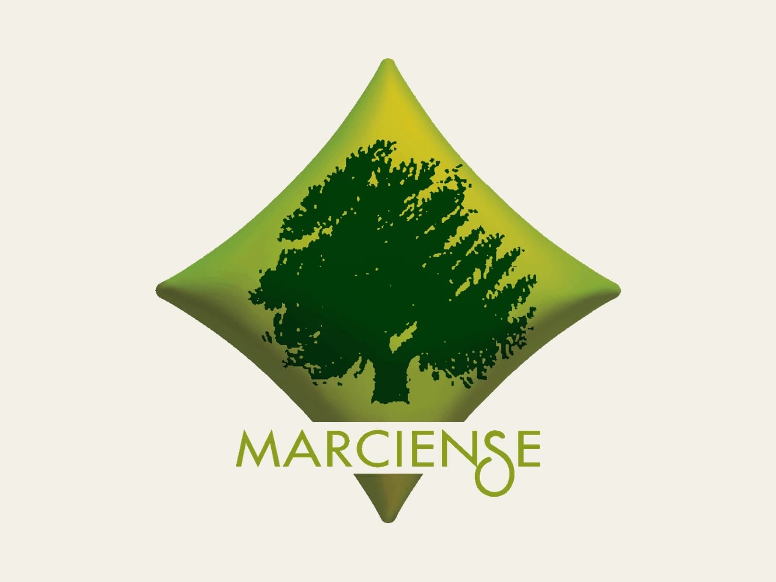 Image of Industria Aceitunera Marciense