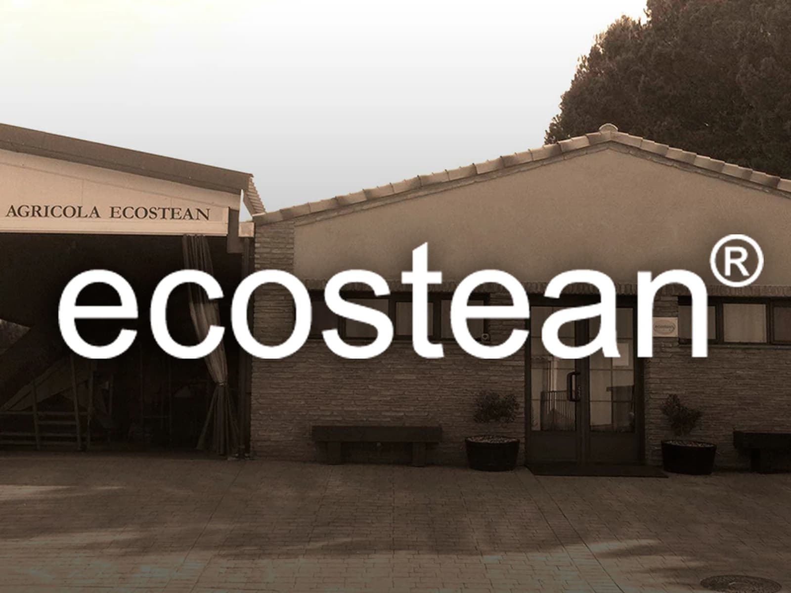 Image of Ecostean