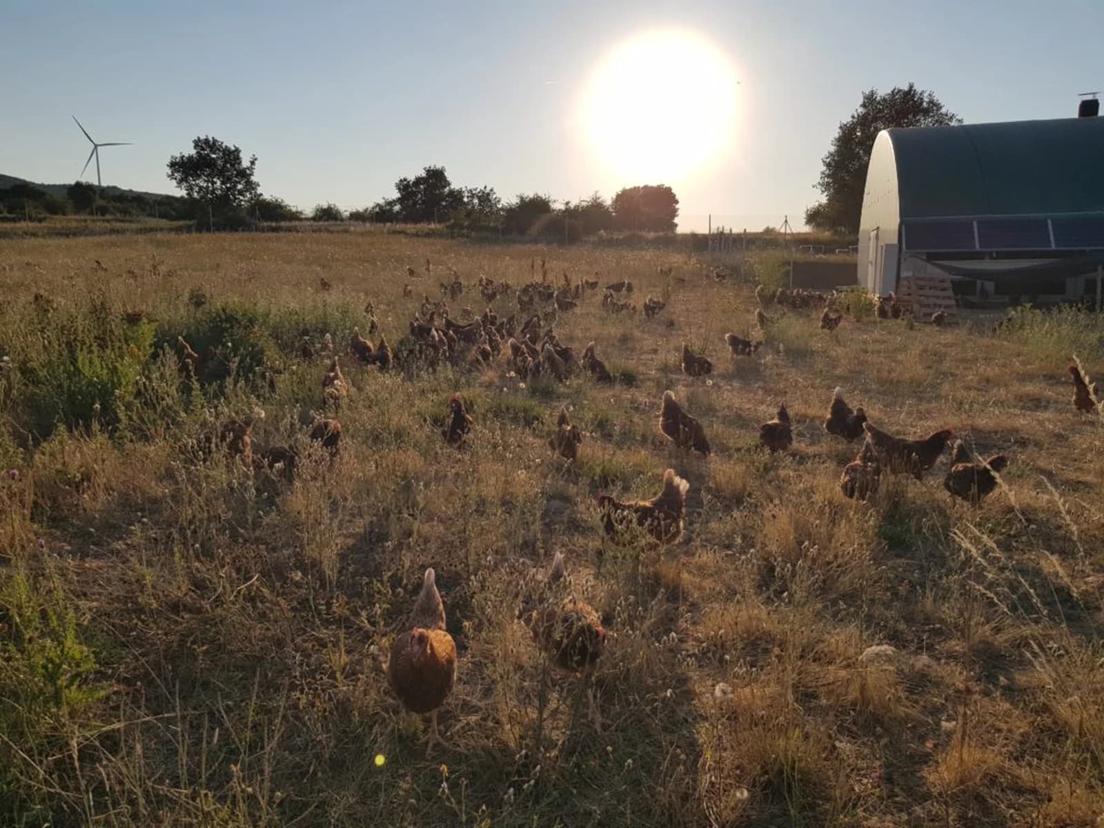 Image of Granja Oriche