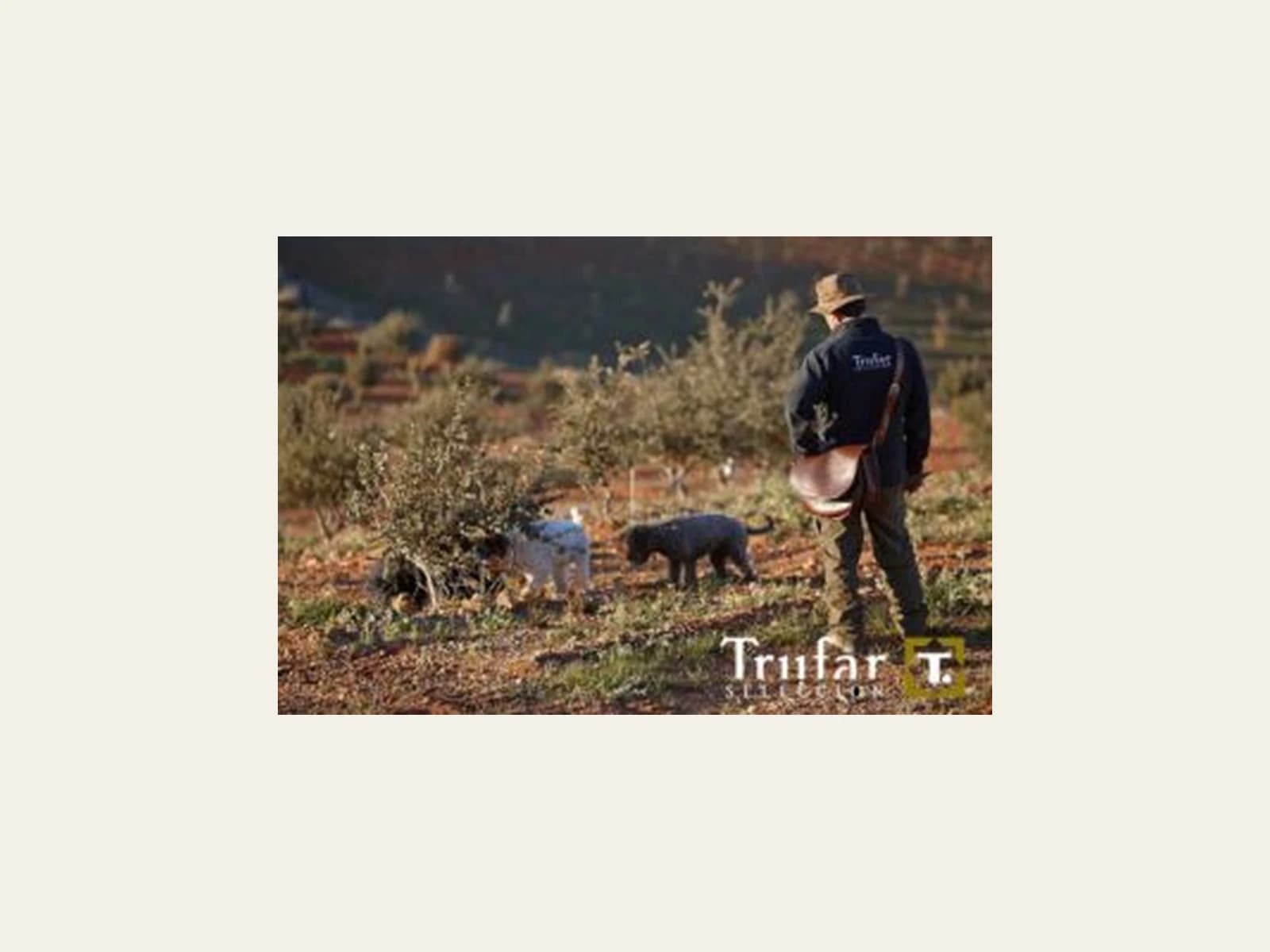 Image of Trufar Spanish Food