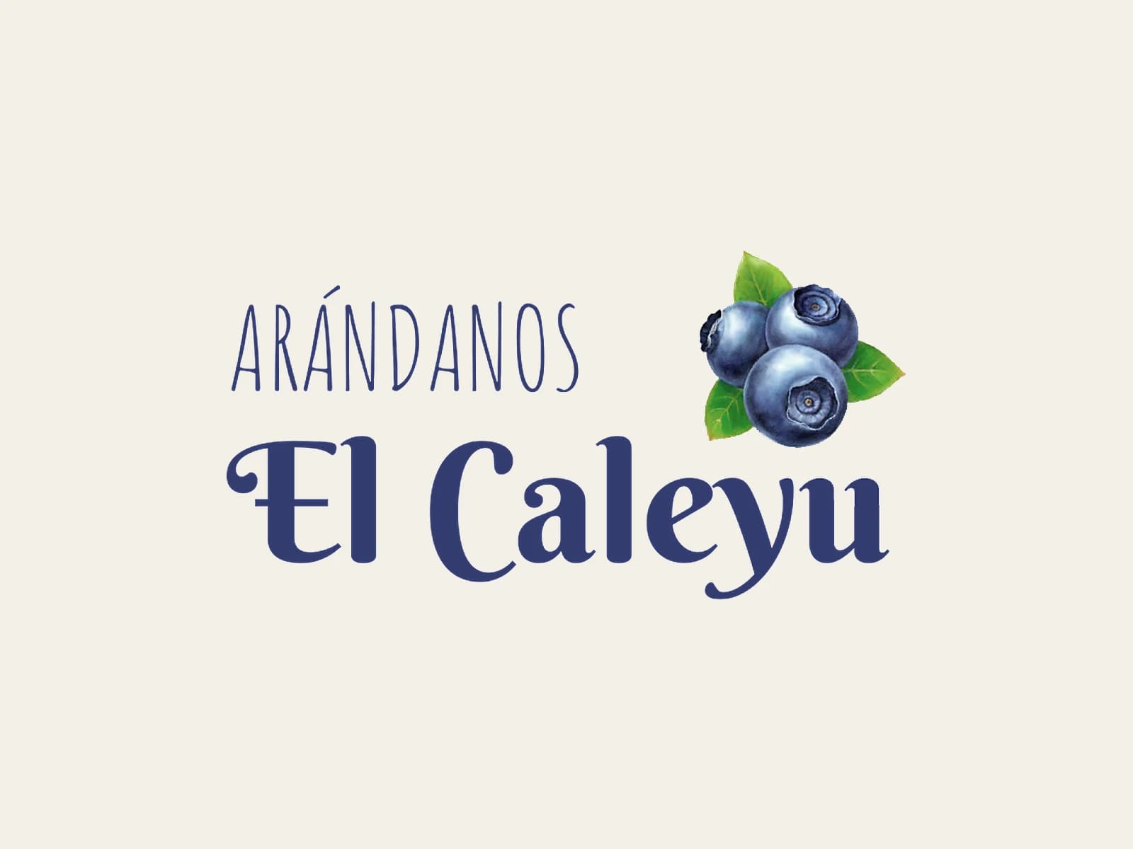 Image of Arándanos El Caleyu