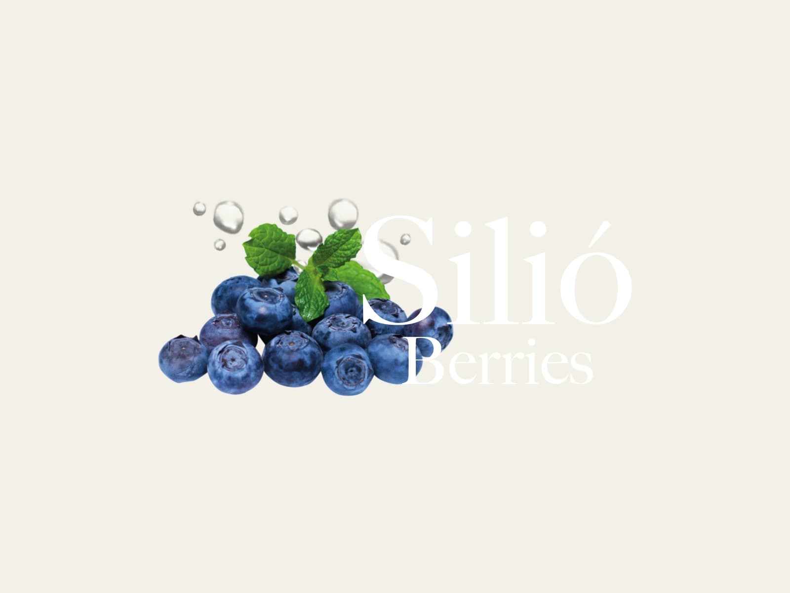 Image of Silió Berries