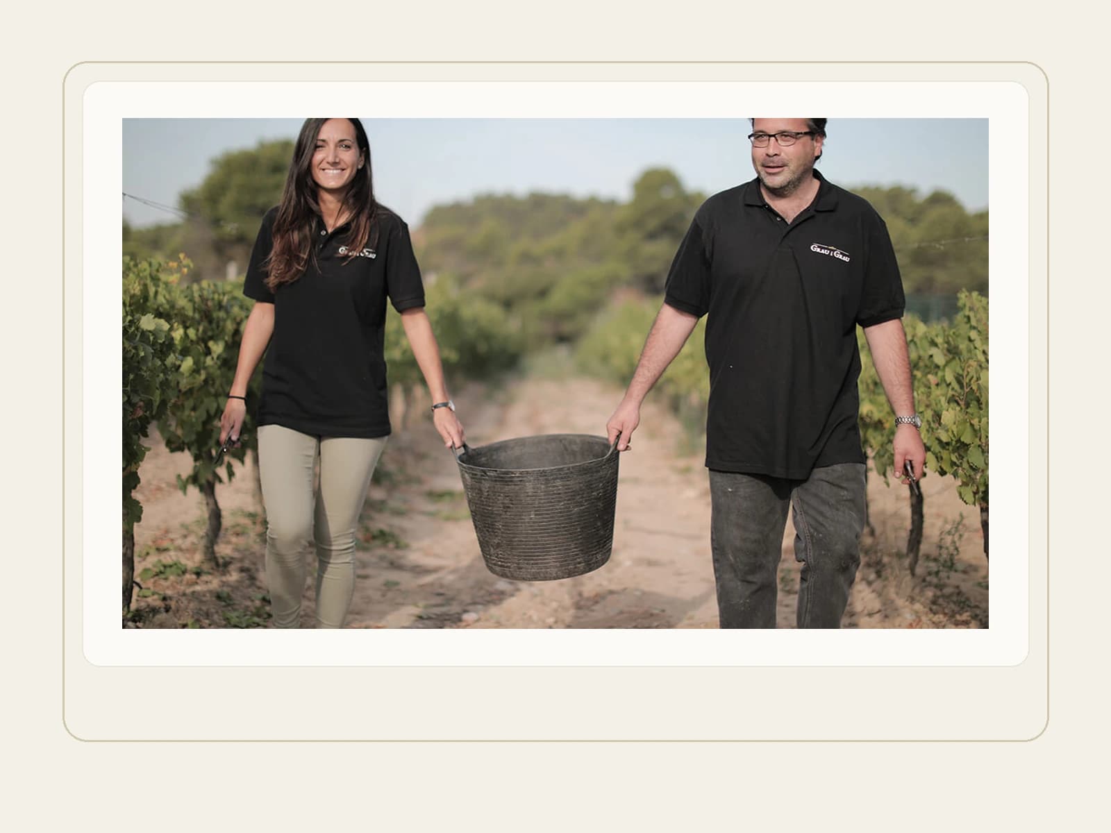Image of Celler GRAU i GRAU