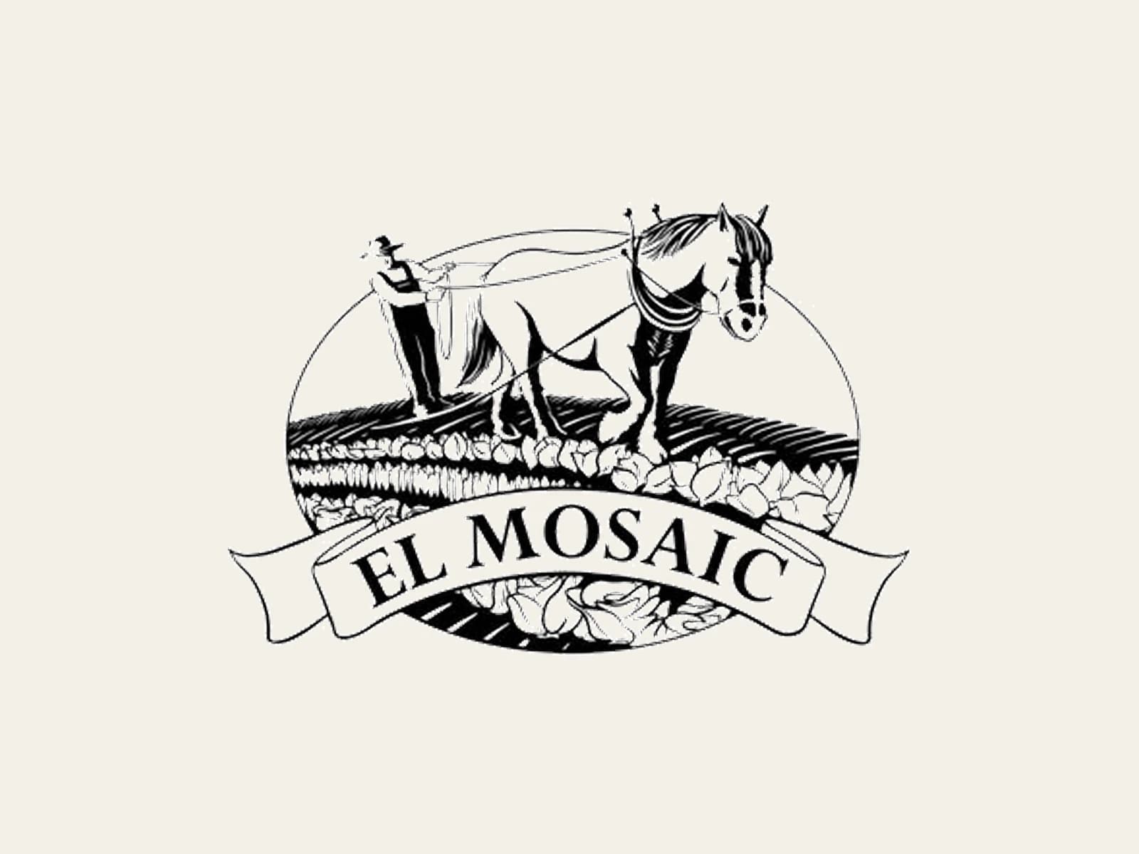 Image of El Mosaic