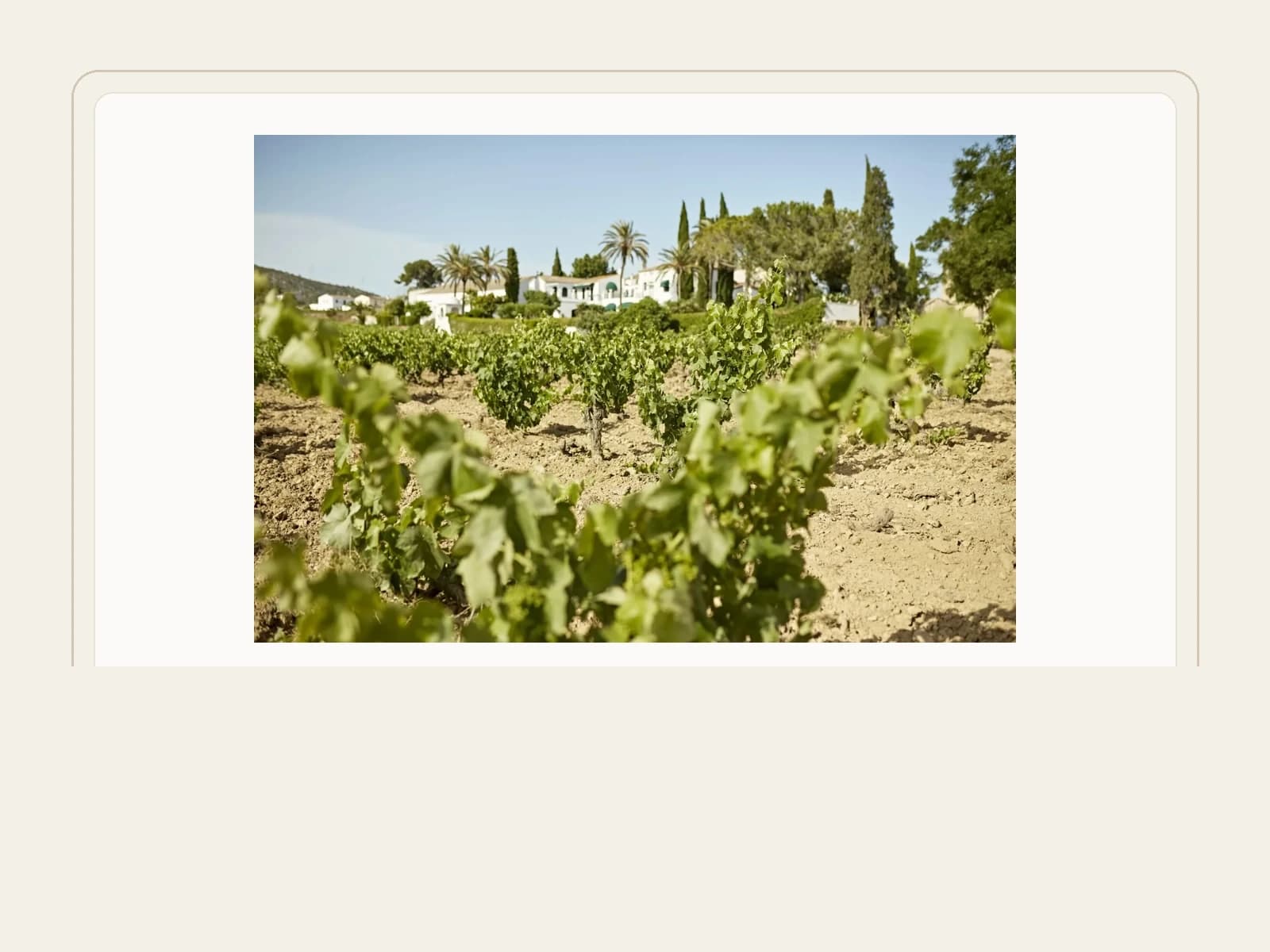 Image of Finca Viladellops