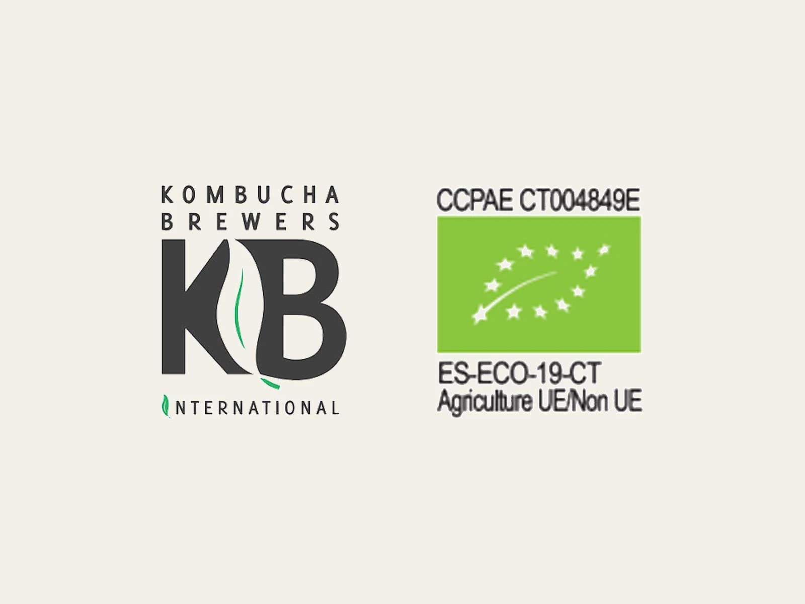 Image of Vitae Kombucha