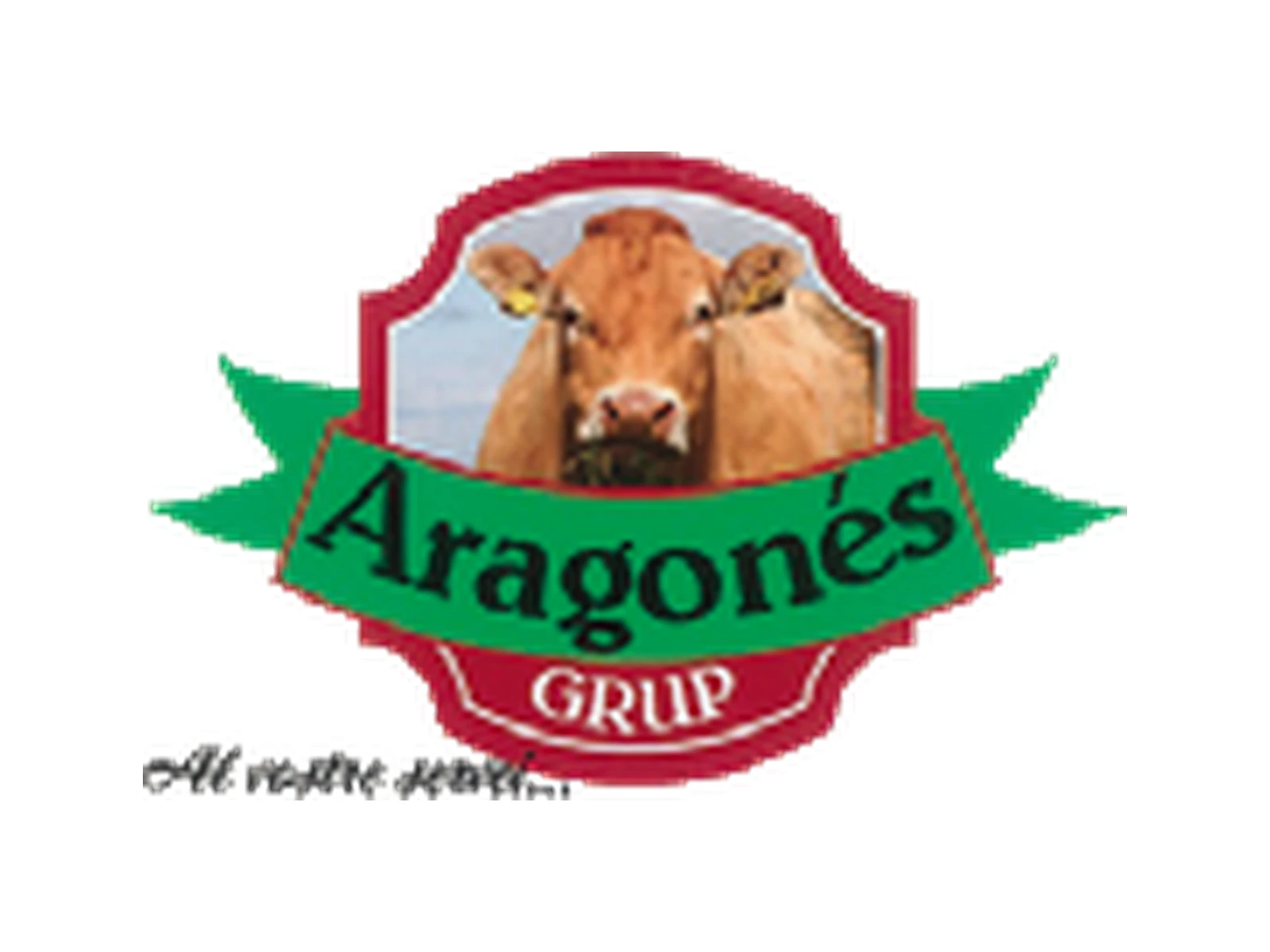 Image of Grup Aragonés