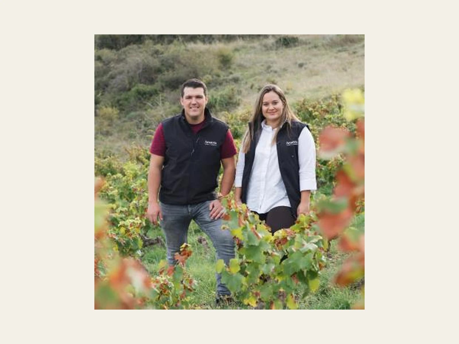 Image of Bodega Amatria Vinos y Viñedos