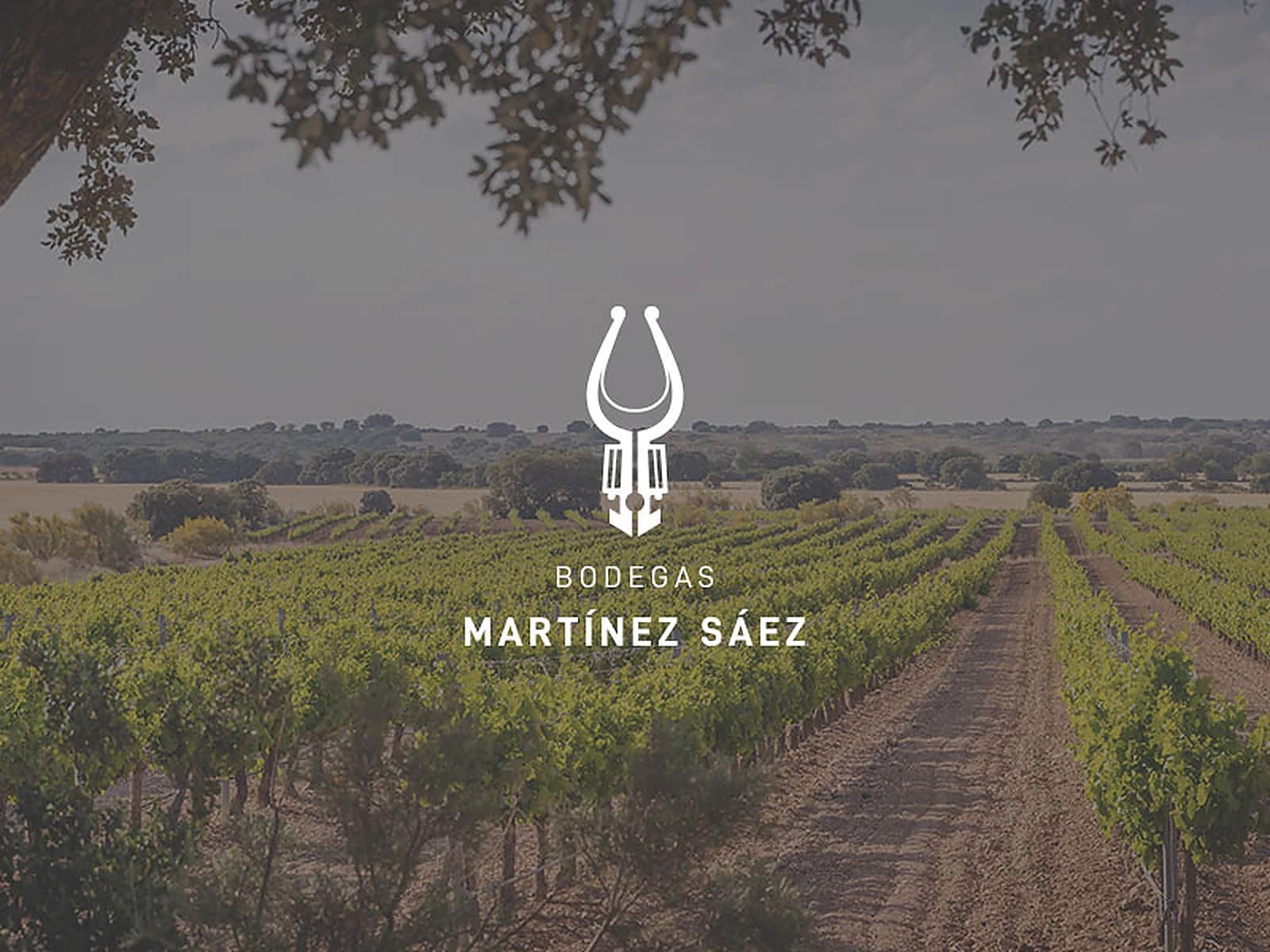 Image of Bodegas Martínez Sáez