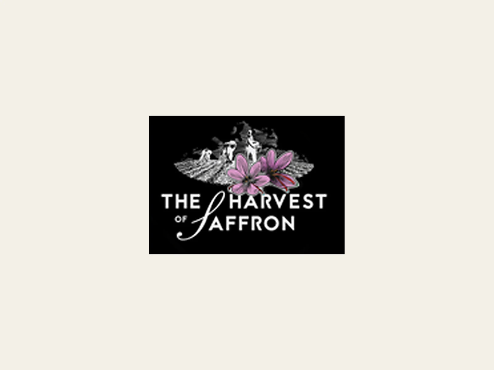 Image of The Harvest of Saffron