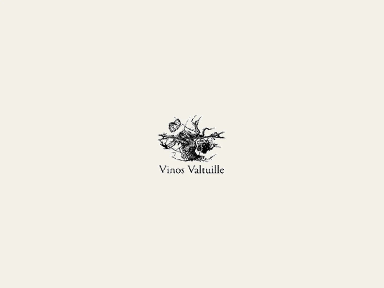 Image of Vinos Valtuille S.L.