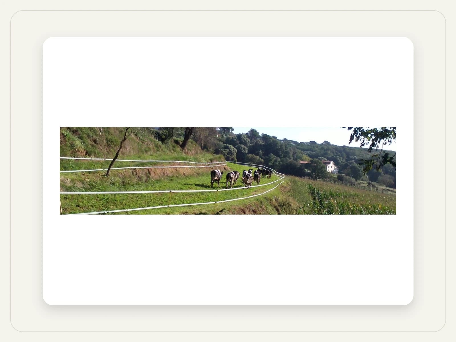 Image of Naturlan