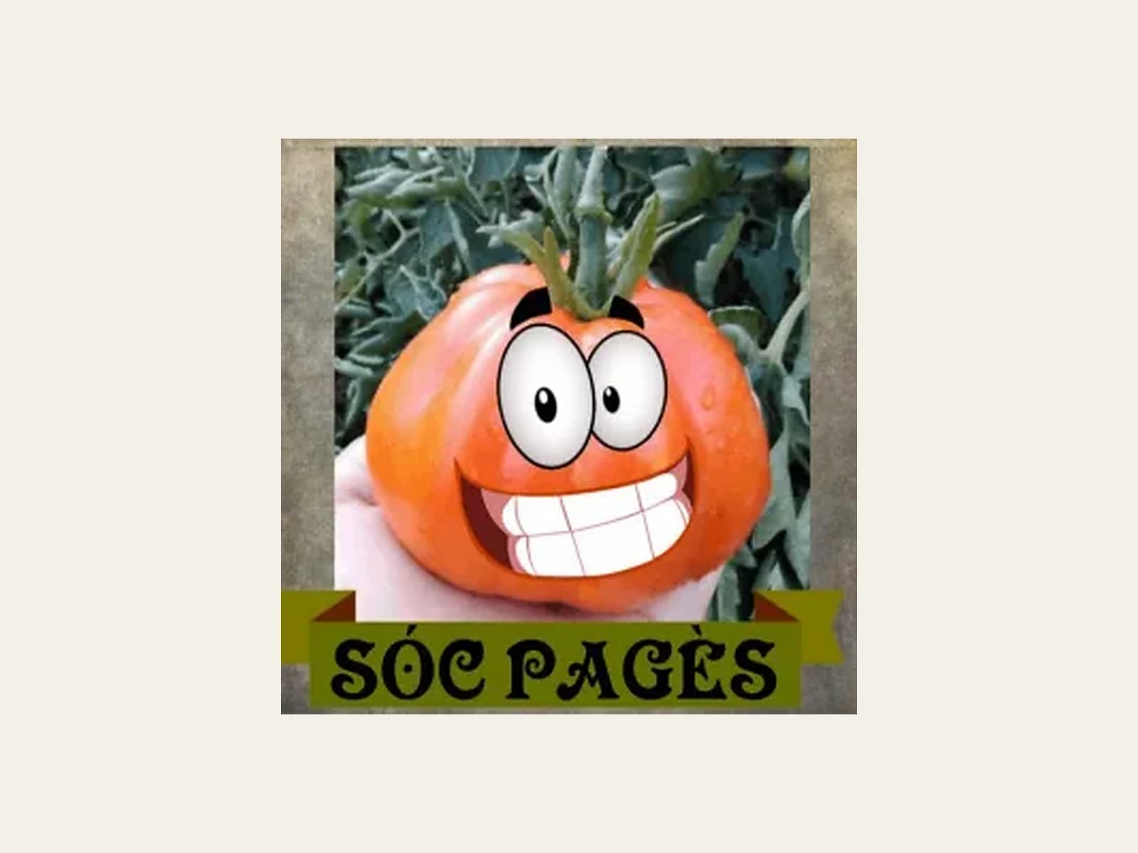 Image of Sóc Pagès