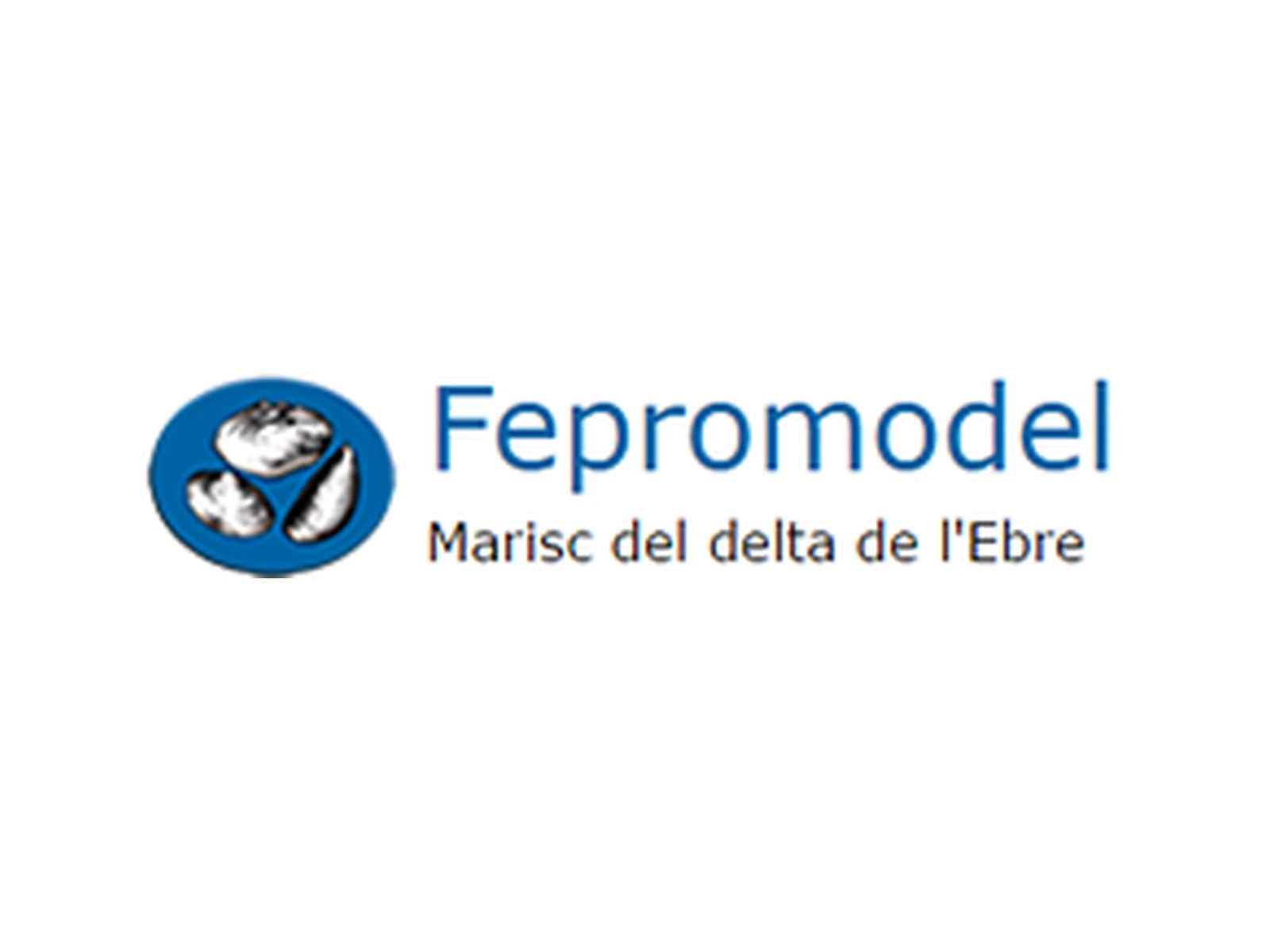 Image of FEPROMODEL