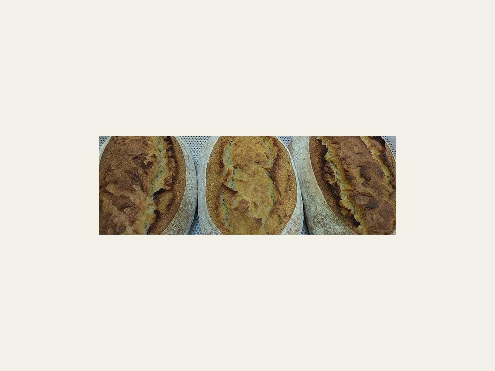 Image of El Horno de Ángeles