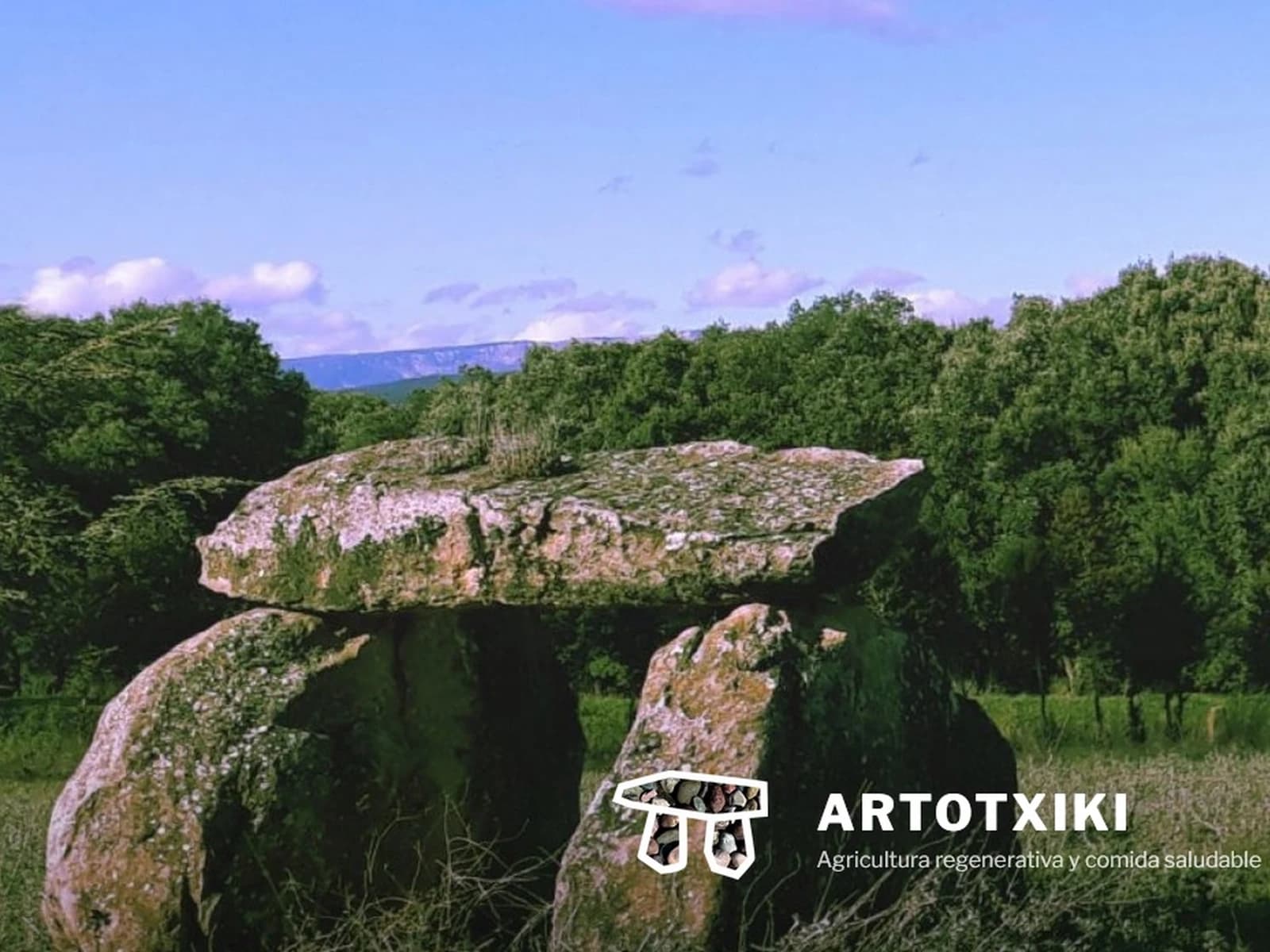 Image of Artotxiki