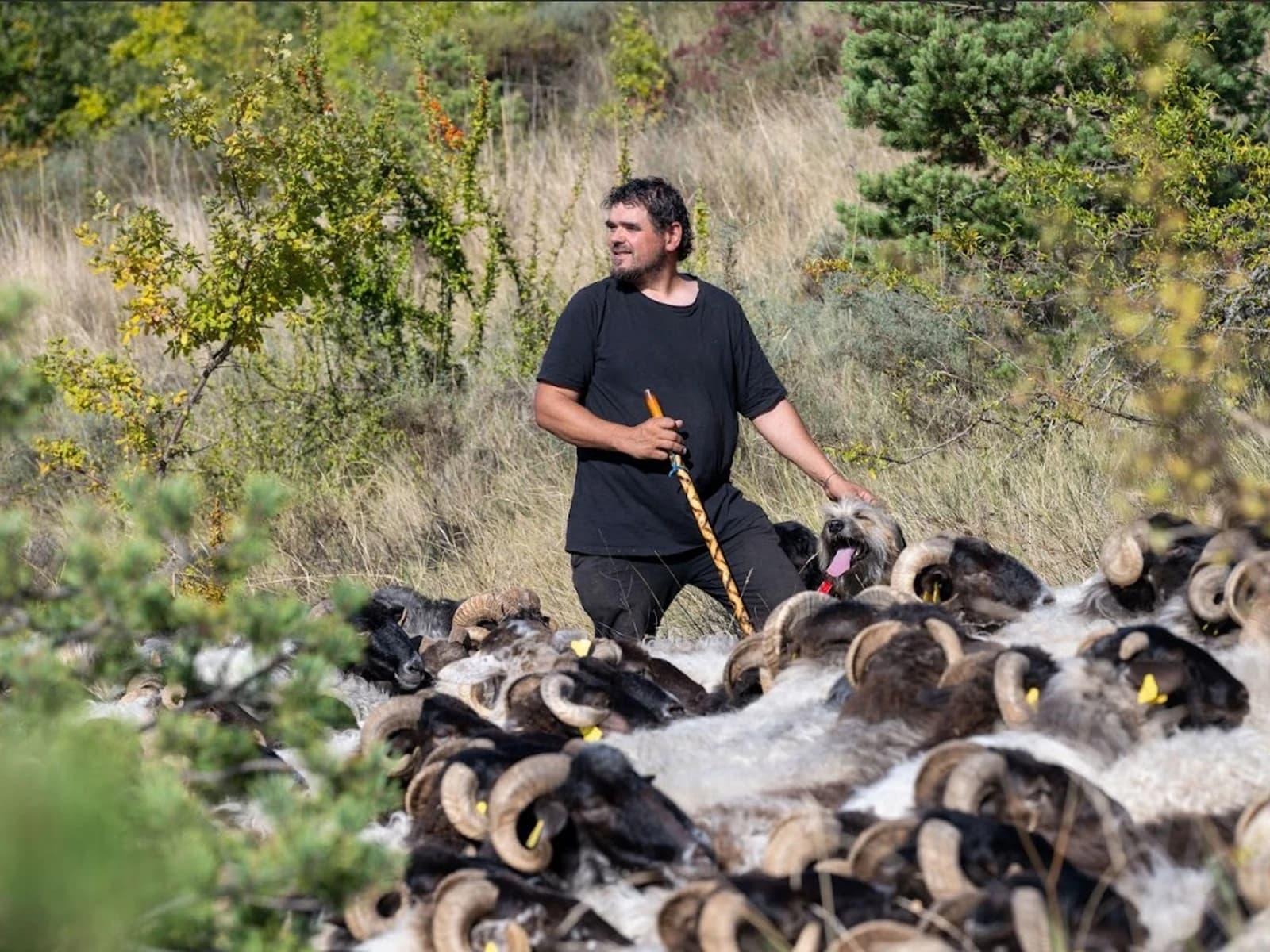 Image of Queseria Txantrea / Txantreako Gaztandegia