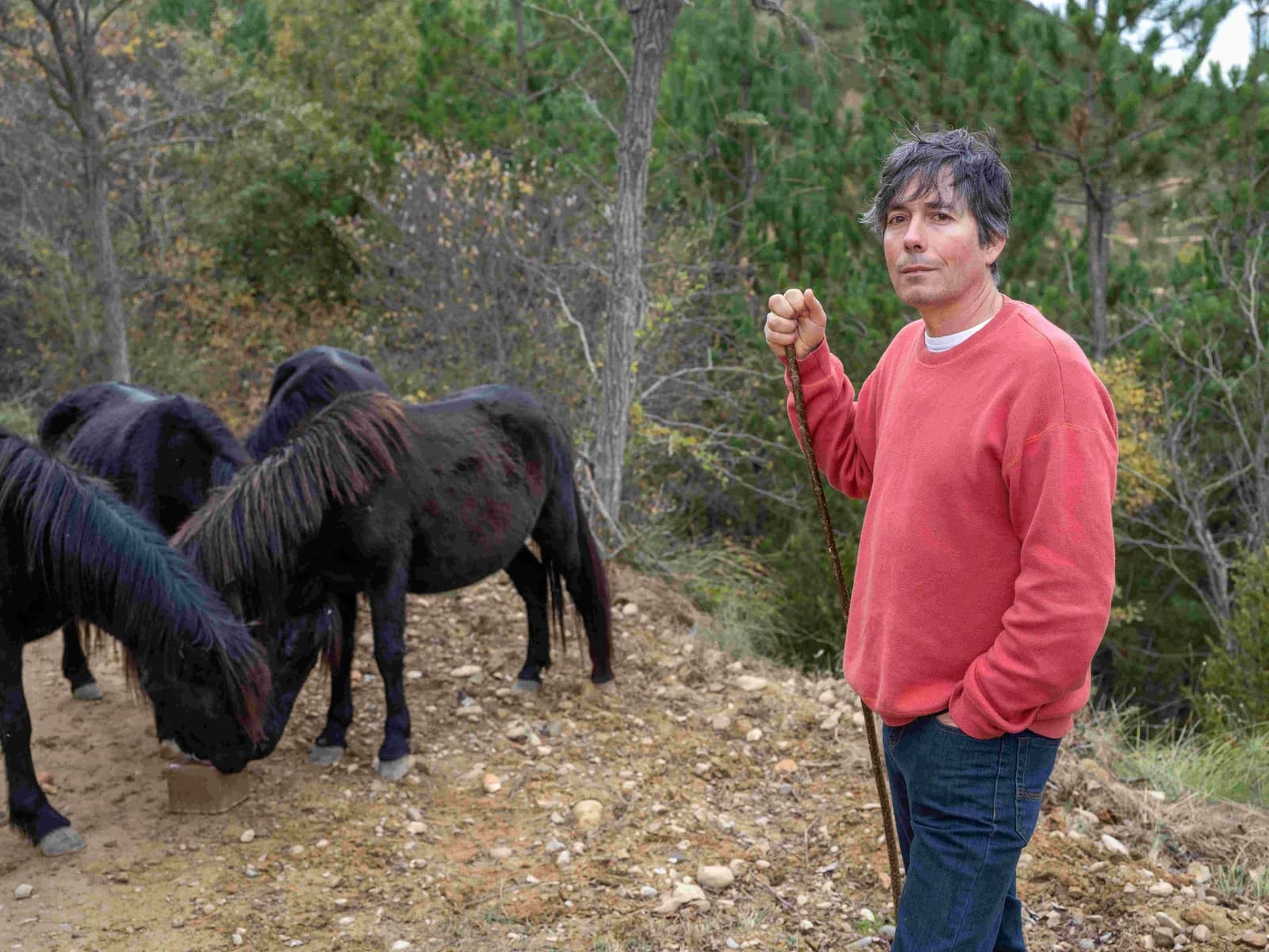 Image of Ternera Ecológica de Petilla