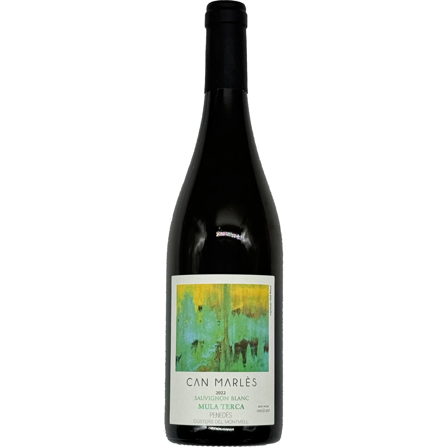 Mula Terca from Can Marlès