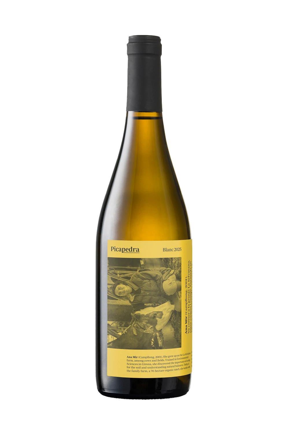 Picapedra Blanc de Celler La Vinyeta