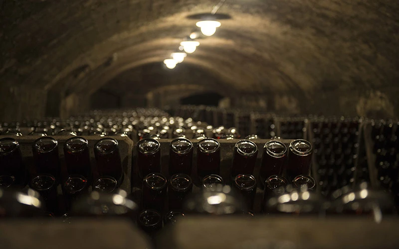 Botellas en el interior abovedado de las cavas de Juvé & Camps