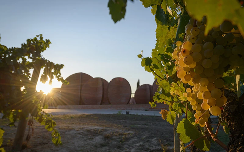Raïm i celler de la Propietat d’Espiells