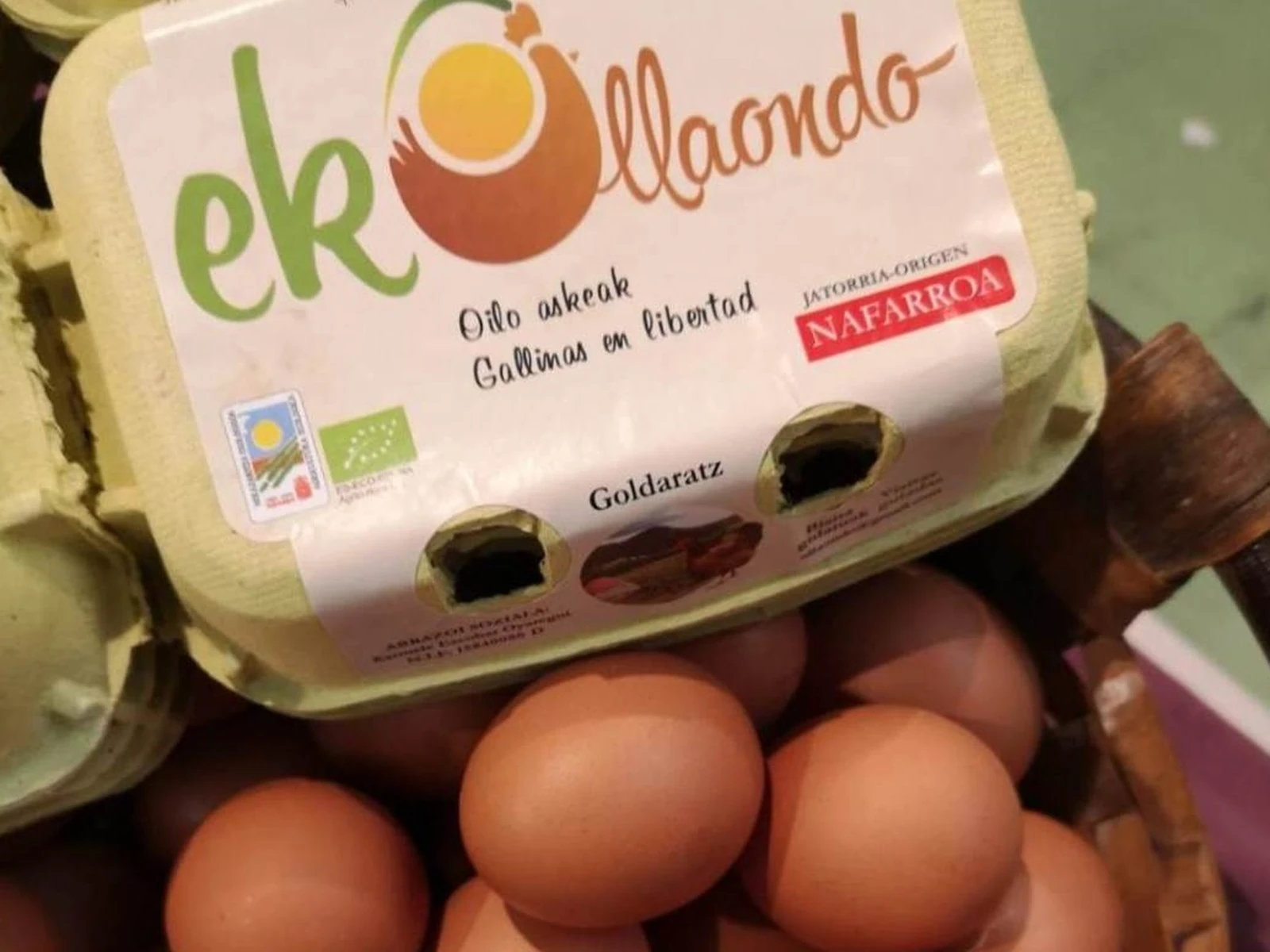 Imagen de Ekollaondo